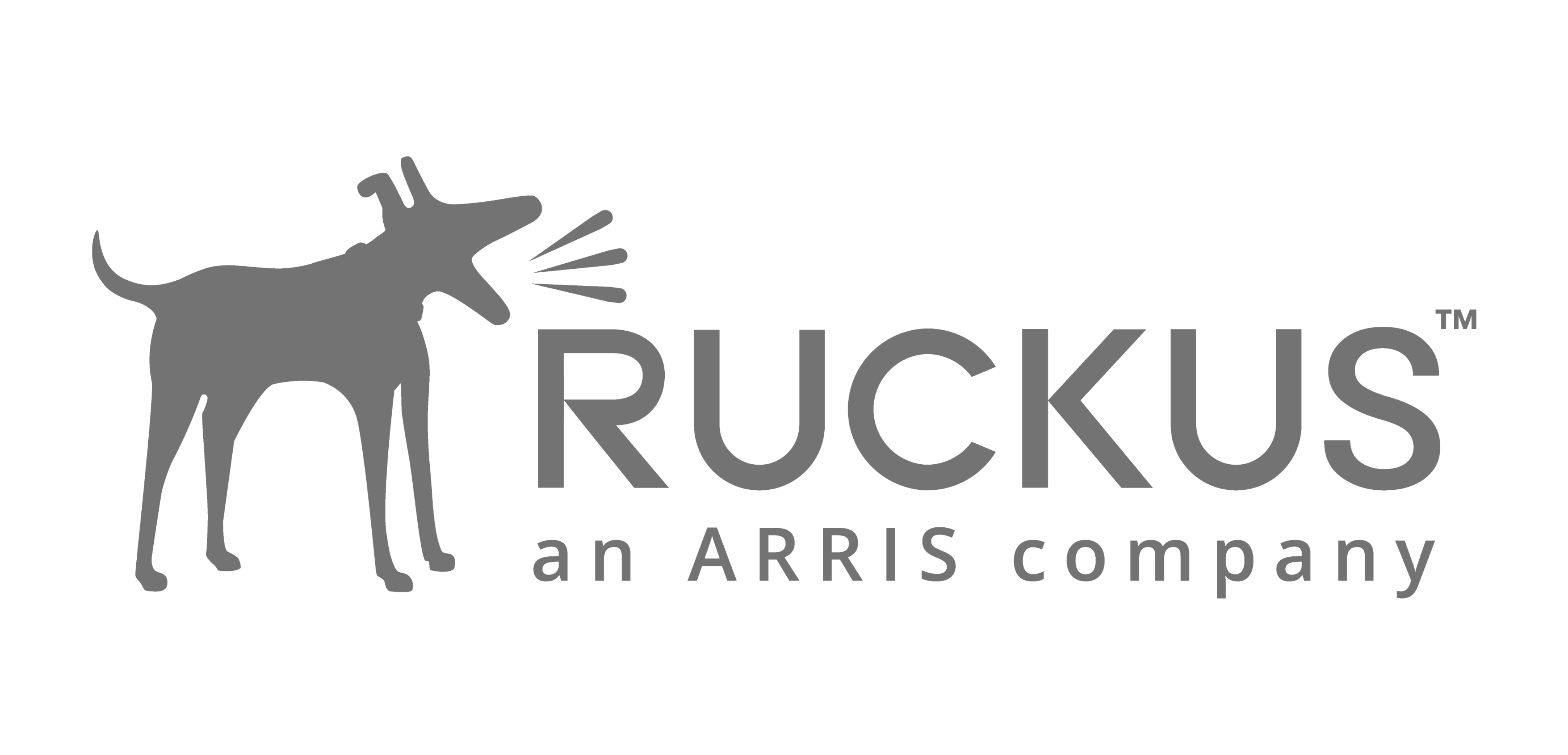 Design Ruckus